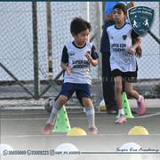 DSC 0101