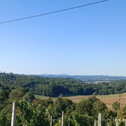 IMG 3708