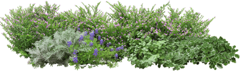 e5b2ab64 (1).png