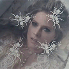 17.gif