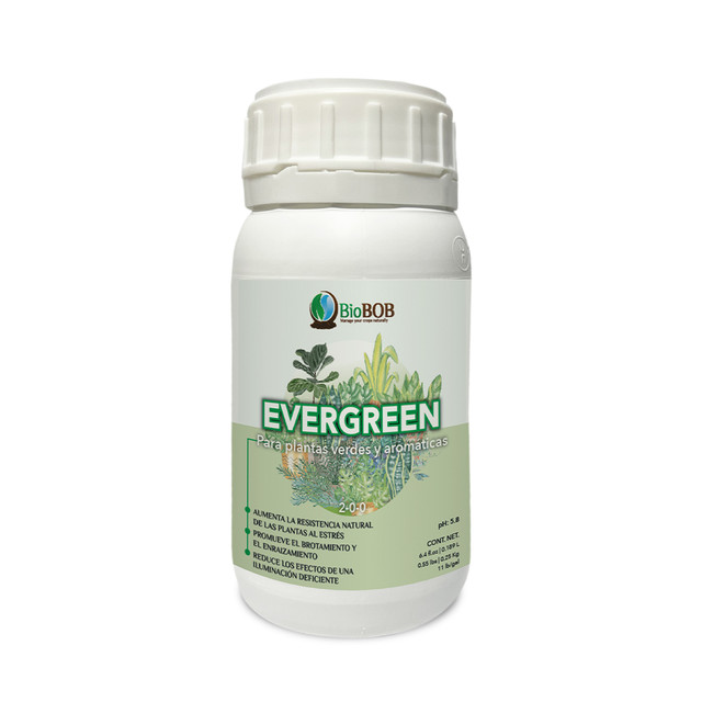 GREEN-6.jpg