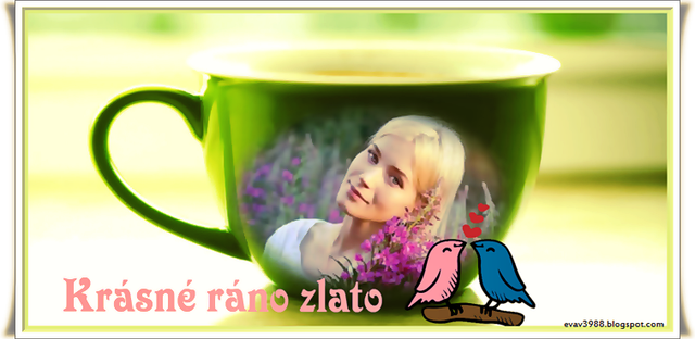 KR-SN-R-NO-ZLATO