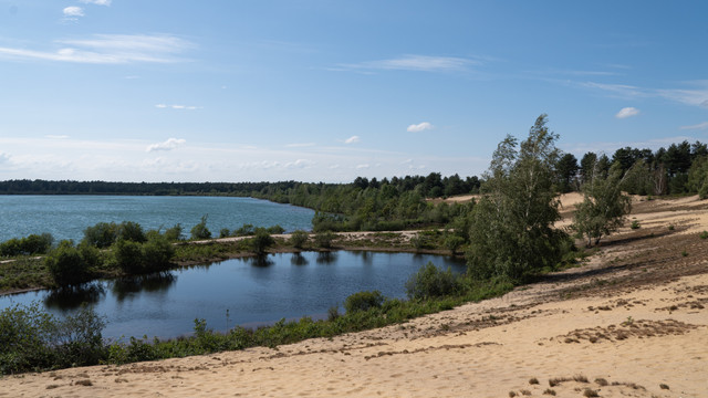 DSC06276