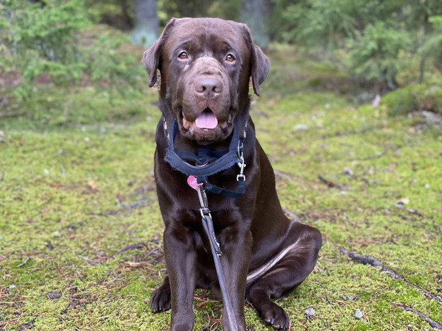 F3-B53-E8-F-01-E7-4330-9482-103-BEB3-D78