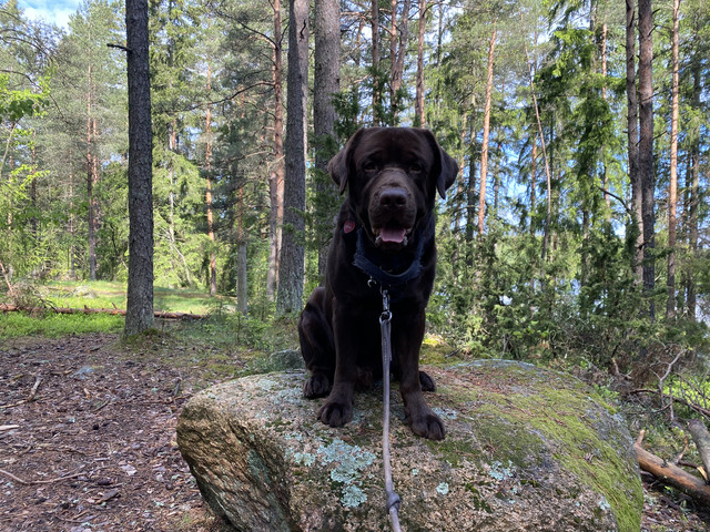 0-F665-E31-D64-B-4934-9-FD7-E6-C30-A200-