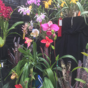 IMG-4742