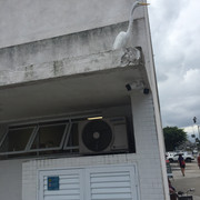 IMG-3438