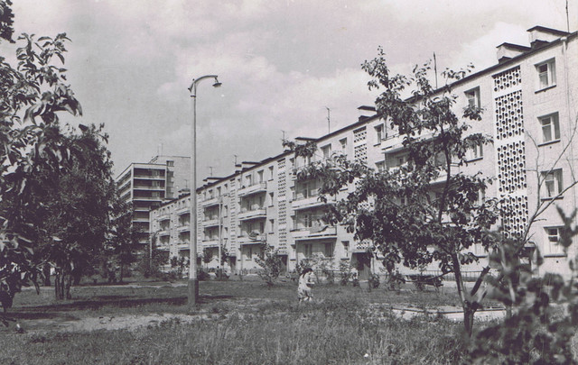 5-1965-70.jpg
