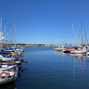 IMG-1317