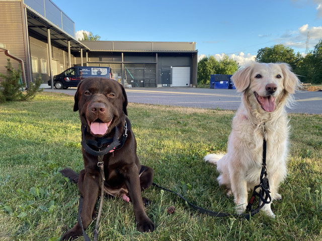 BA839906-D533-4-AAD-9537-F95579-D9-B09-A