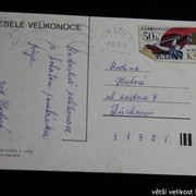 IMG-3794