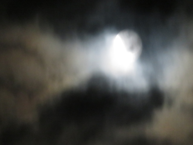 Pmoon-037.jpg