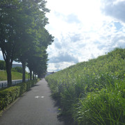 P1330052