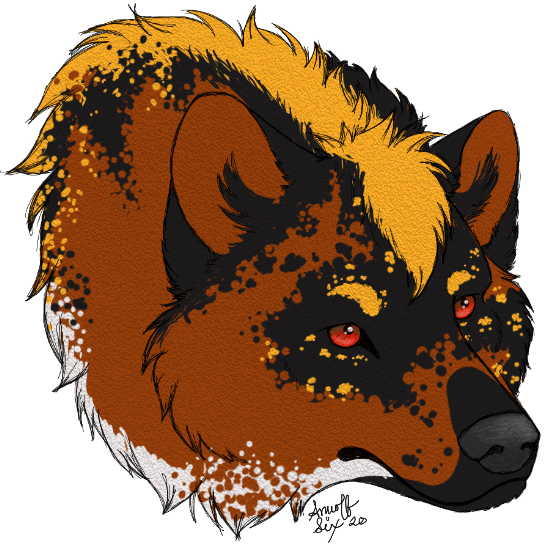 Finnegan-Head.png