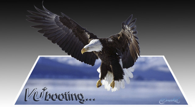 VU bootlogo eagle