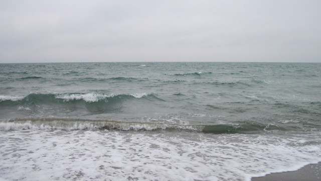 IMG-2232