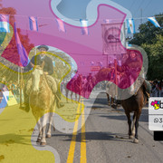 DSC5346