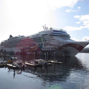 IMG-0329