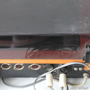 IMG-3769
