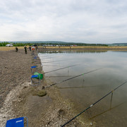 DSC00135