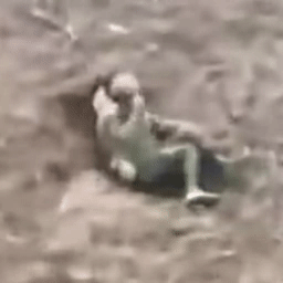 1668094996497015.gif