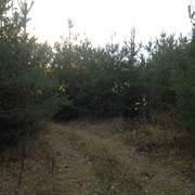 IMG-4380