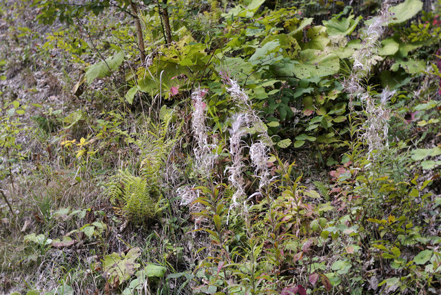 DSC6977.jpg