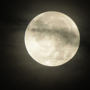 moon-029
