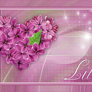 lilac
