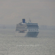 IMG-4487