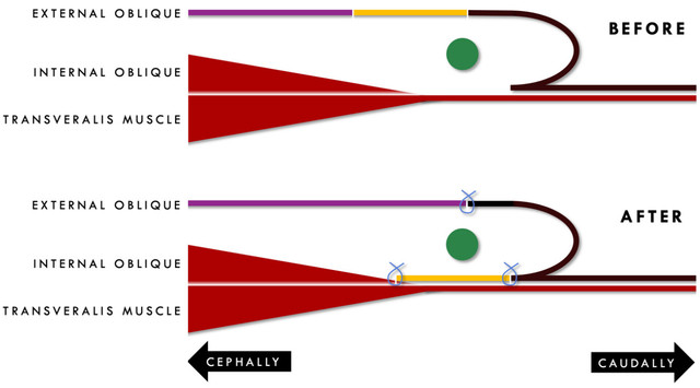 4027-fig-1