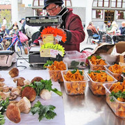 IMG-6411
