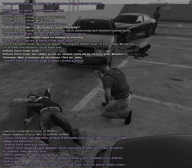 ss4.jpg