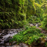 images-5