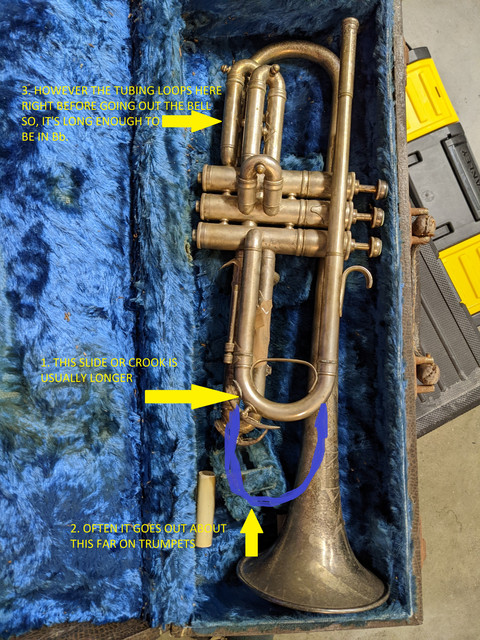 cornet