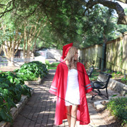 IMG 7528