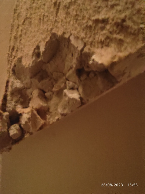 Drop-Ceiling-board-without-flash-3