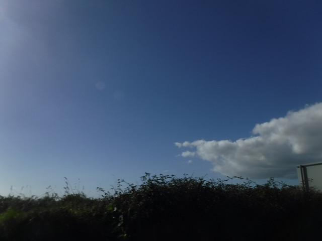 DSCF6723
