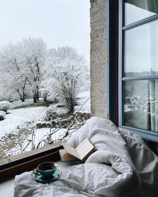 tumblr-2ca4a287ef82b73c250c5589cb0f0d82-70c3ee01-540