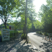 P1320132