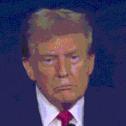 trump-expressions