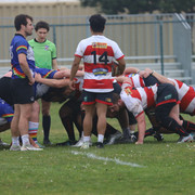 IMG-9316