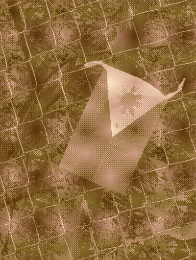 Filipino flag
