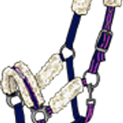 riimu7 4