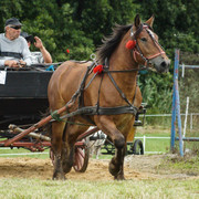 DSC05089