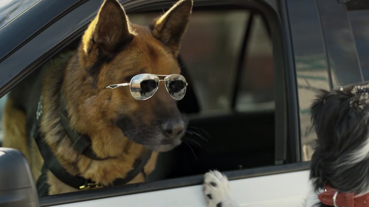 Cats & Dogs 3: Paws Unite Screenshot