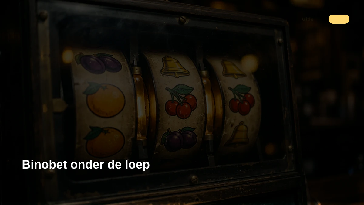 Binobet onder de loep