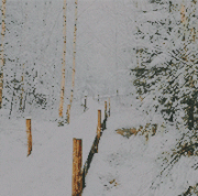 winter7.gif