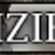 Vizier