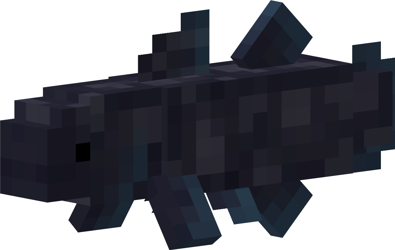 An coelacanth